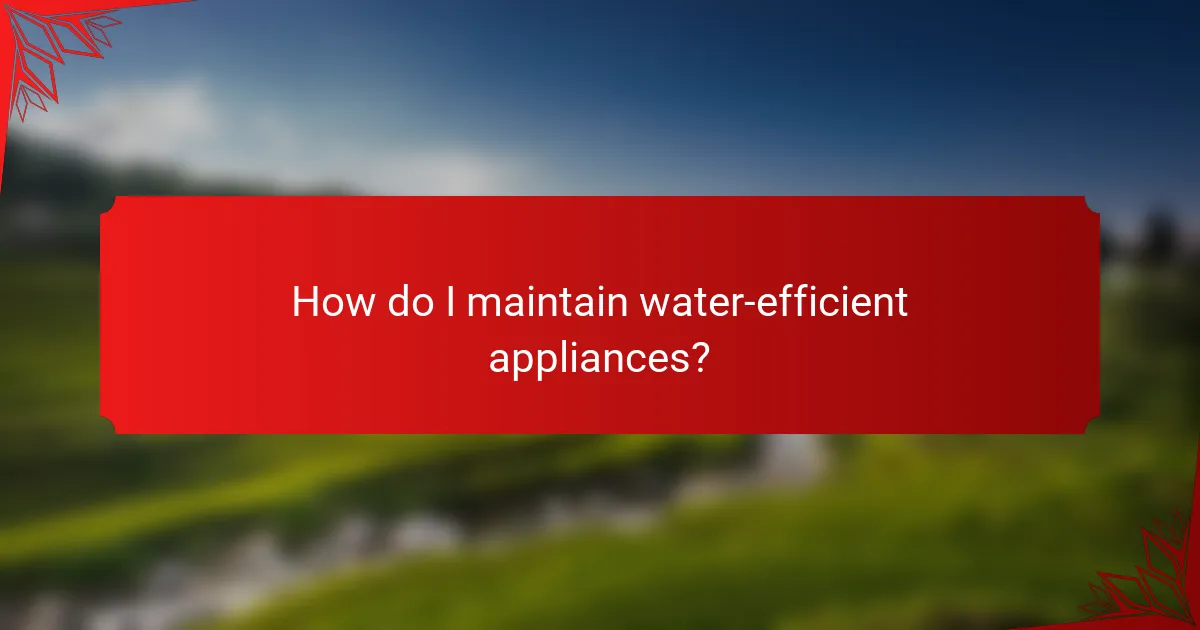 How do I maintain water-efficient appliances?