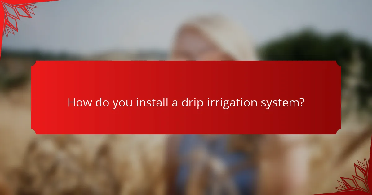 How do you install a drip irrigation system?