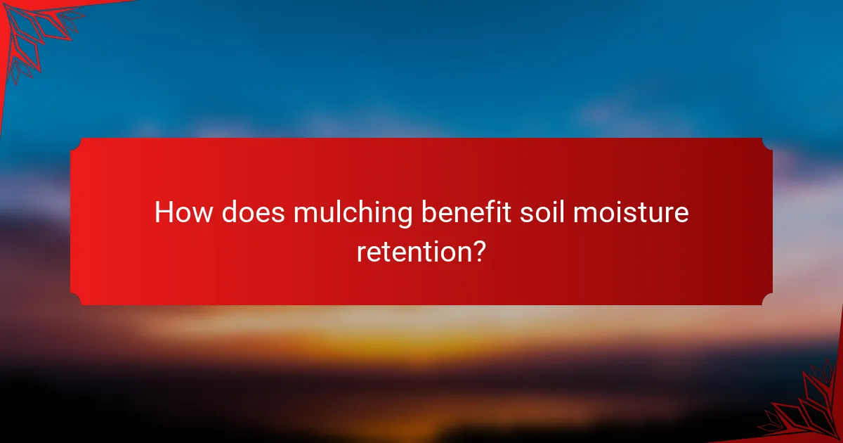 How does mulching benefit soil moisture retention?