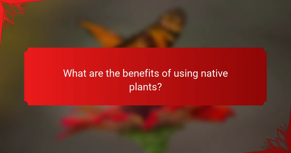 What are the benefits of using native plants?