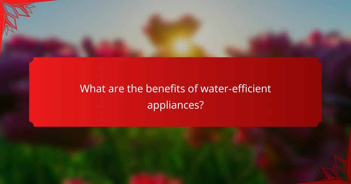 What are the benefits of water-efficient appliances?