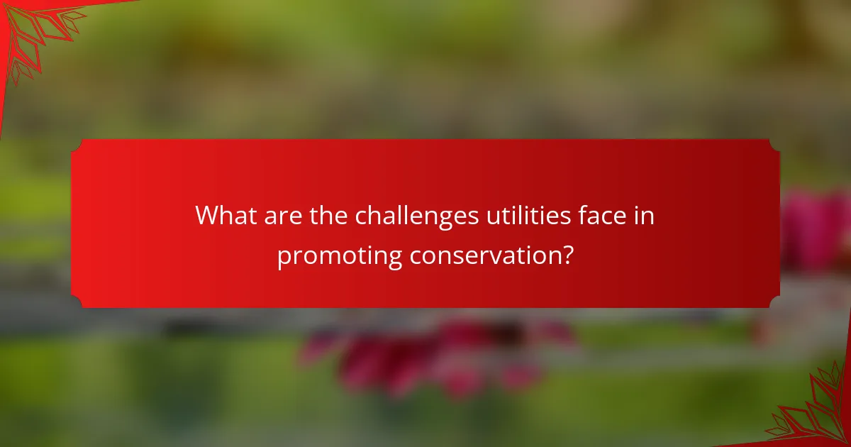 What are the challenges utilities face in promoting conservation?