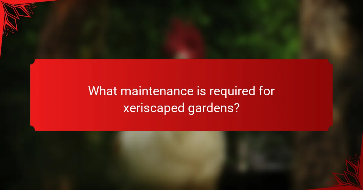 What maintenance is required for xeriscaped gardens?