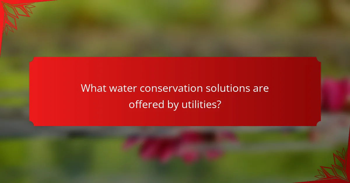 What water conservation solutions are offered by utilities?