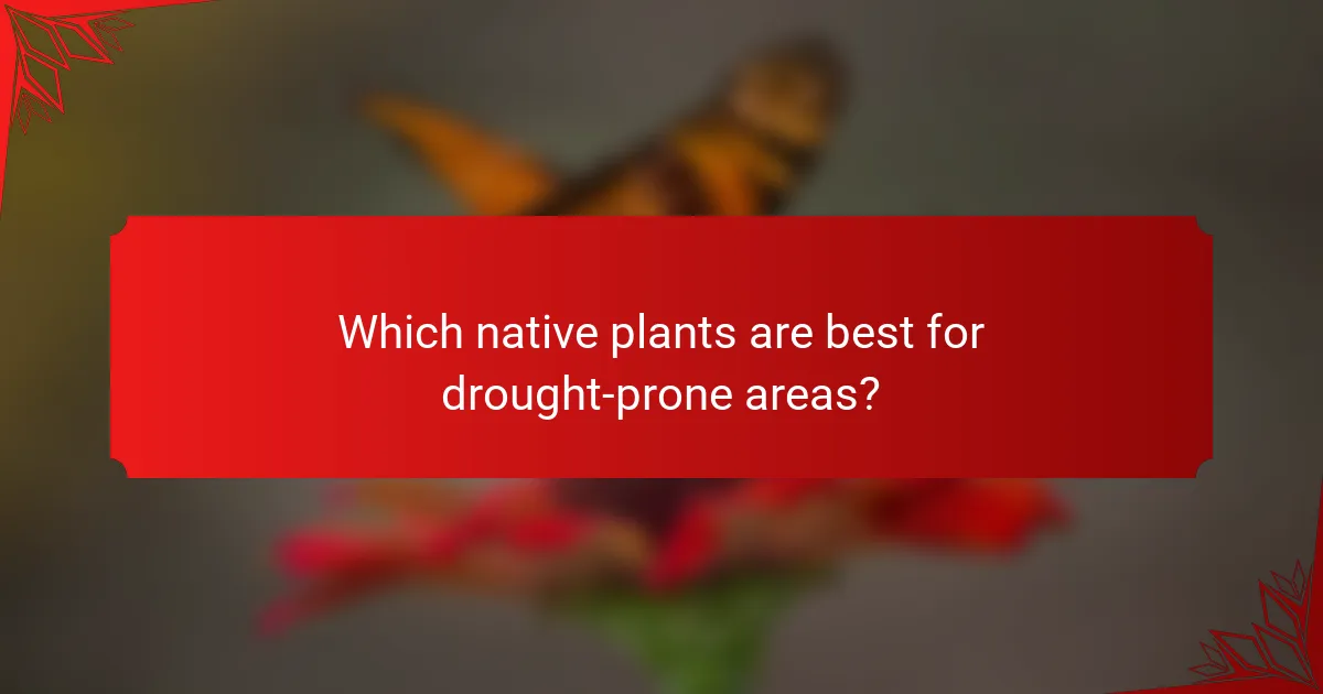 Which native plants are best for drought-prone areas?